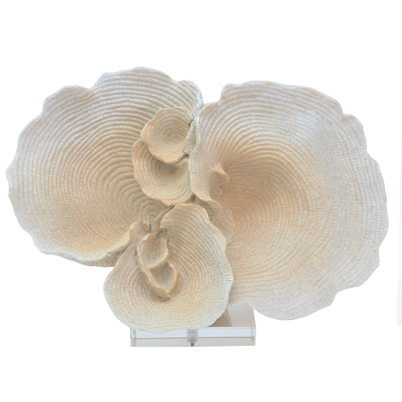 Coral with base