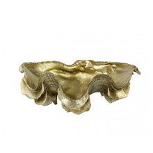 Clam Shell Gold