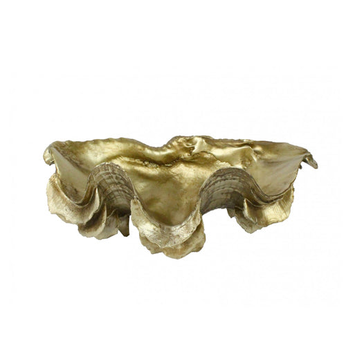 Clam Shell Gold