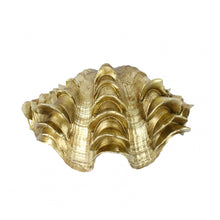 Clam Shell Gold