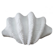 White Clam Shell