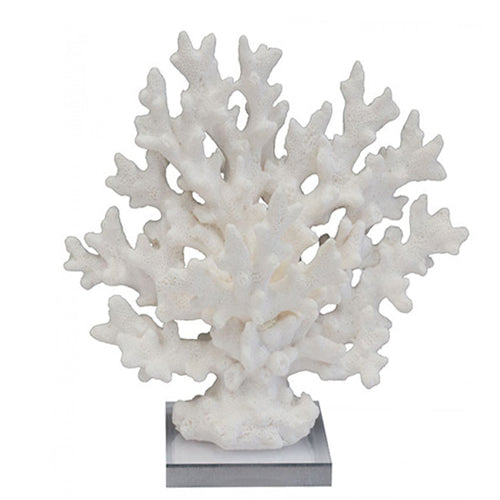Coral Branch