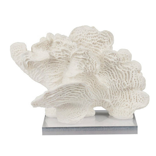 Coral Wave