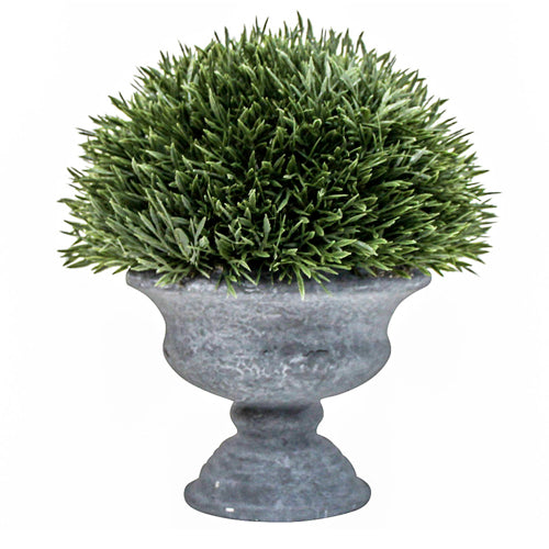 Spiked Grass Potted Plant in Urn