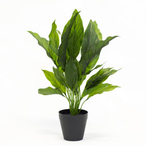 Potted Artificial Spathiphllum