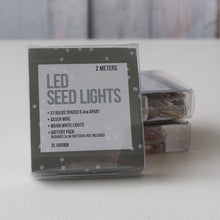 Seed Lights 2m