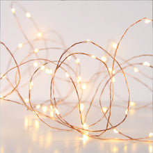 Seed Lights 2m