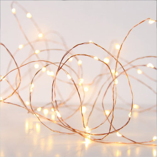 Seed Lights 2m