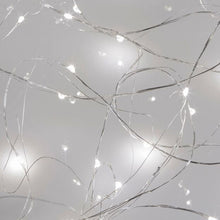 Seed Lights 2m