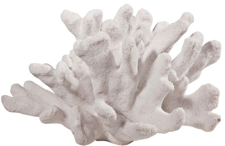 Coral Curved