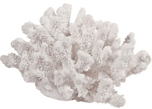 Coral Nautical