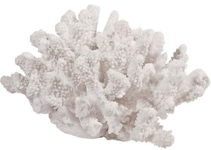 Coral Nautical