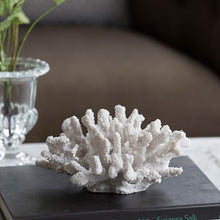 Coral Nautical
