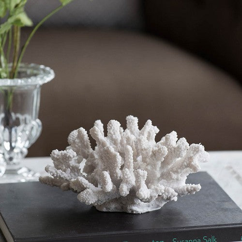 Coral Nautical