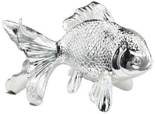 Silver Ocean Fish
