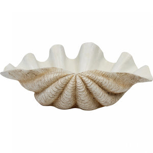 Clam Shell XL Natural