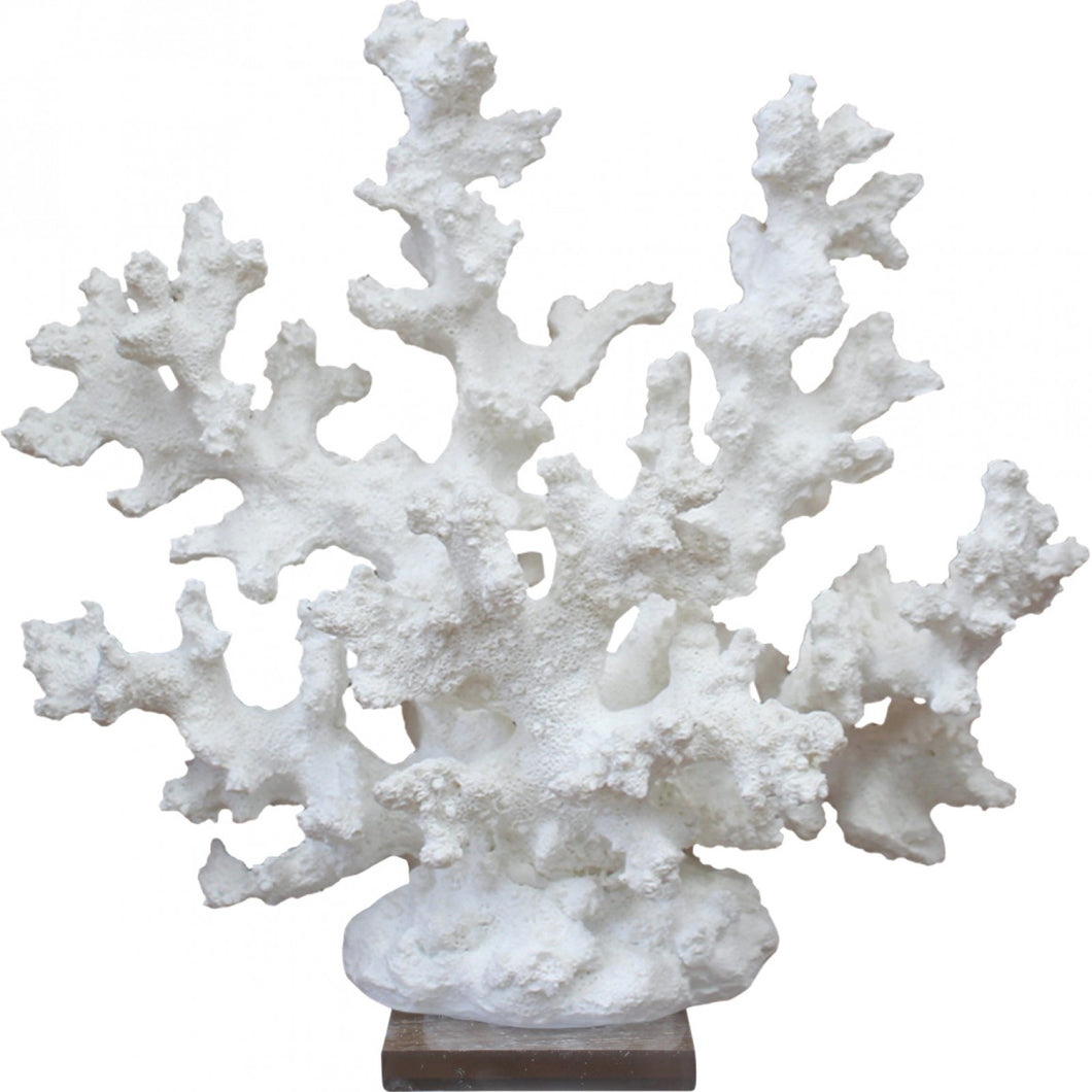 Coral Playa
