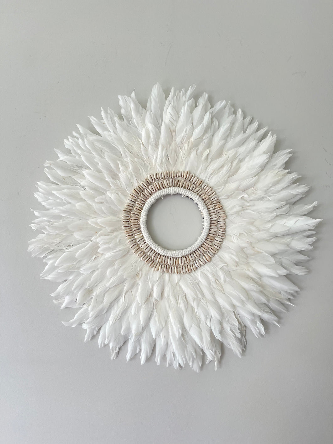 White Feather and Shell Wall Decor