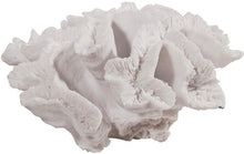 Coral Decorative
