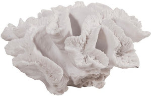 Coral Decorative