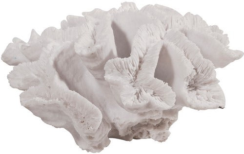 Coral Decorative