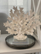 Coral Branch