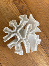Coral Decorative
