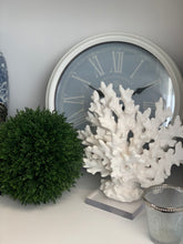 Coral Branch
